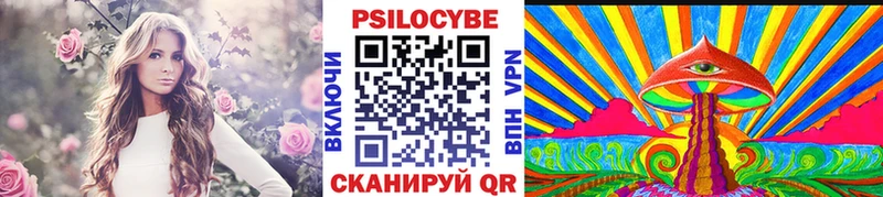 Галлюциногенные грибы Magic Shrooms  мега рабочий сайт  Усть-Джегута  наркота 