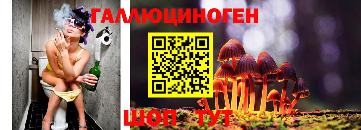 Усть-Джегута  Псилоцибиновые грибы MAGIC MUSHROOMS  Вход с VPN  Псилоцибиновые грибы Cubensis 